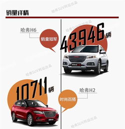網(wǎng)通社汽車佳木斯安信 專業(yè)銷售服務(wù)，驅(qū)動龍江出行新體驗